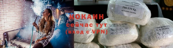 бошки Гусев