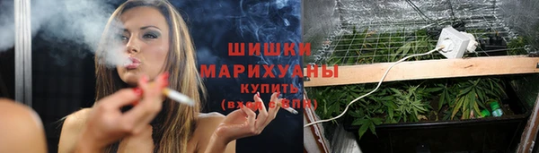 mdpv Гусь-Хрустальный