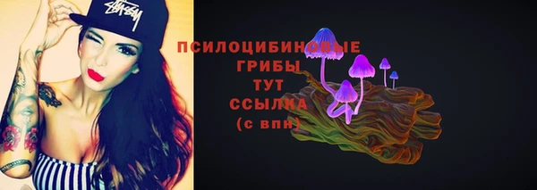 mdpv Гусь-Хрустальный