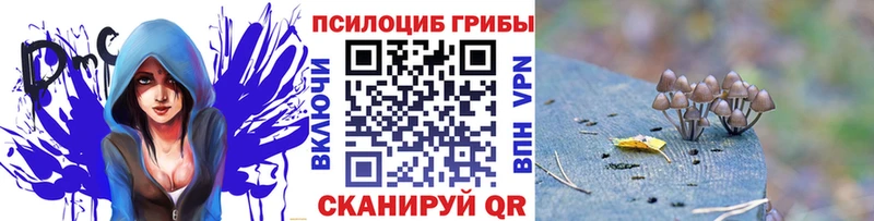 купить наркоту  мега ссылки  Галлюциногенные грибы прущие грибы  Орехово-Зуево 